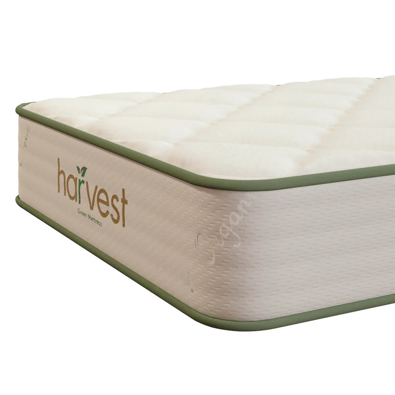 Harvest Green Essential